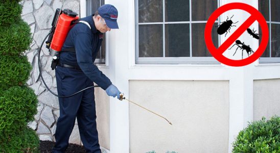 Merzifon Gümüşkurt İlaçlama böcek ilaçlama ve haşere kontrolü — ilaclama-tr.com
